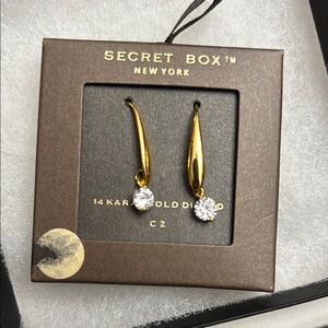 Secret Box Gold Earrings with CZ